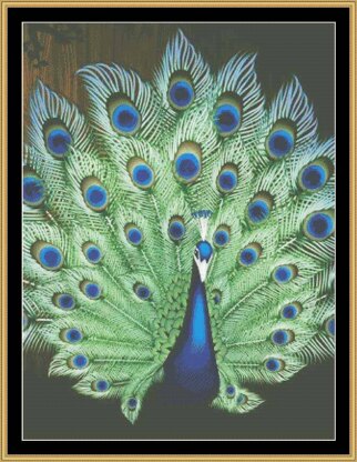 PEACOCK PORTRAIT I