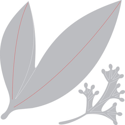 Sizzix Framelits Dies By David Tutera - Eucalyptus