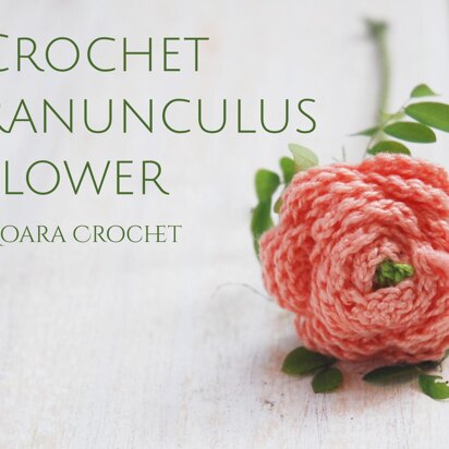 Ranunculus Flower