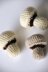 Mushroom Crochet Pattern, Mushroom Amigurumi, Food Amigurumi, Vegetable Crochet Pattern