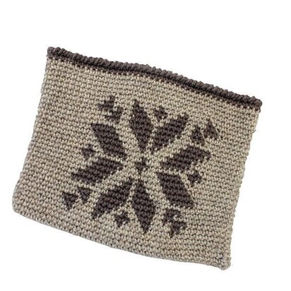 Snowflake iPad Cover