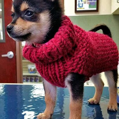 Warm Puppy Sweater - knitting pattern