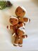 Gingerbread Man