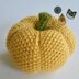 Seed Stitch Pumpkin