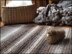 Rare Earth Rug