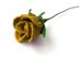 Rose bud