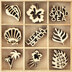 Kaisercraft Wood Mini Themed Embellishments - Life's A Beach, 45/Pkg