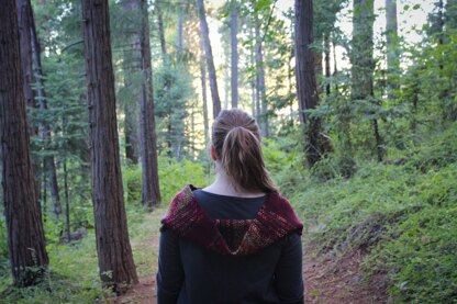 A Walk Through the Woods Cowl