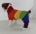 Rainbow Dog Onesie