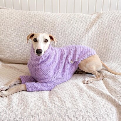 Doggo no 18 sweater