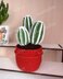 Cactus 3 in a pot