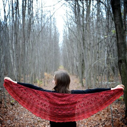 Silky Fairy Shawl