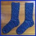 Euphyllia Lace Socks