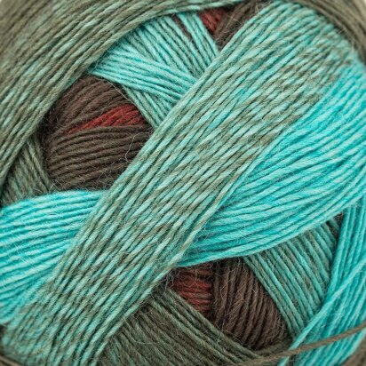 Schoppel Wolle Zauberball 100