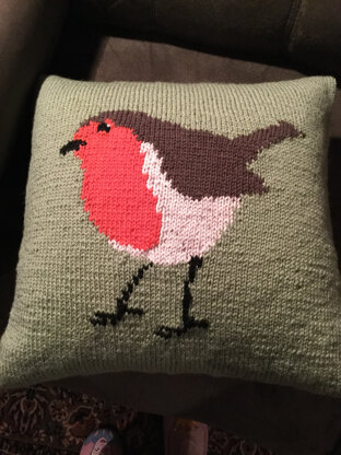 Sylvia's Robin cushion