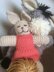 Soft toy cat and rabbit with optional dress