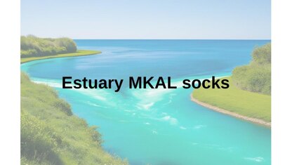 Estuary MKAL Socks