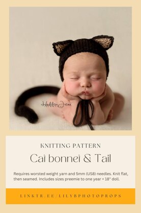 Cat Bonnet & Tail Knitting Pattern