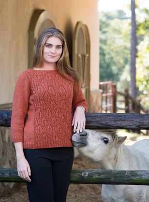 Top-Down Cable and Lace Boatneck Pullover #191