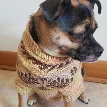 Dog Dream Sweater - knitting pattern