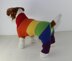Rainbow Dog Onesie