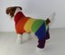 Rainbow Dog Onesie