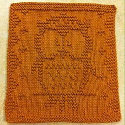 Little Hooter Cloth