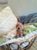 Poodle Plush