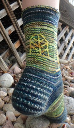 Enchanted Window Socks