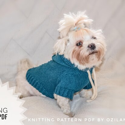 Sport hoodie clothes for dog