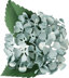 Fiskars Lia Griffith Lever Punch Large - Hydrangea