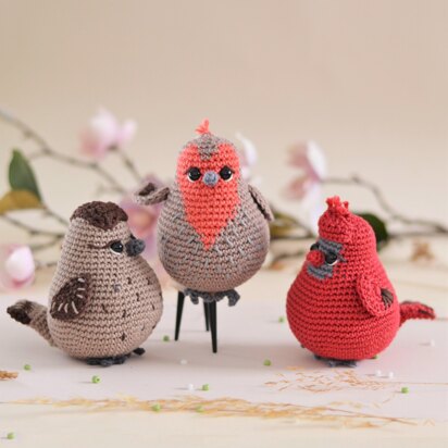 Three tiny birds