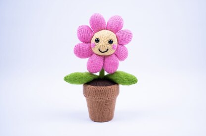 Flower in a Pot in Deramores Studio DK  - Downloadable PDF