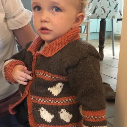 Child Bird Cardigan