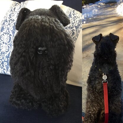 My Kerry Blue Terrier Ami