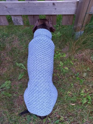 Tähti dog sweater