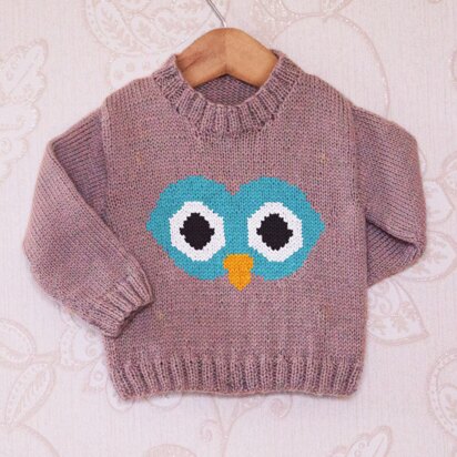 Intarsia - Owl Face Chart - Childrens Sweater