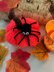 Spider Pumpkin straight needles easy knitting pattern autumn halloween home decor