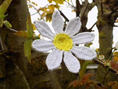 Daisy flower brooch