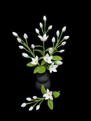 Jasmine flowers