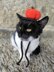 Pumpkin Cat Hat – Crochet