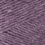 Purple Aster (674-146)