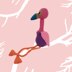 Candy the Flamingo