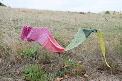 The Flower Fields Shawl