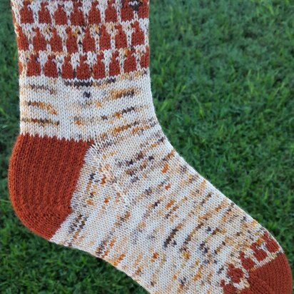 Pumpkin Patch Socks - knitting pattern