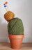 Beginner's Knit a Cactus