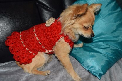 Crocheted Chihuahua dress