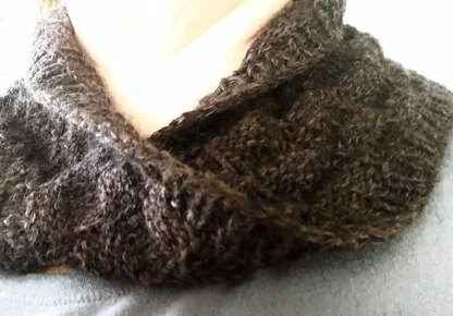 Elwyn Mobius Cowl