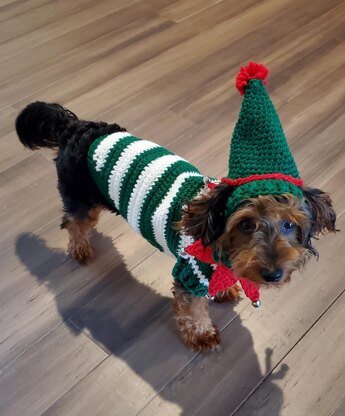 Elf Dog Sweater