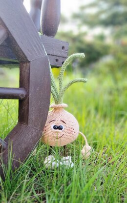 Onion